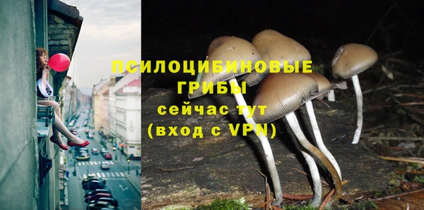 соль курить ск Покачи