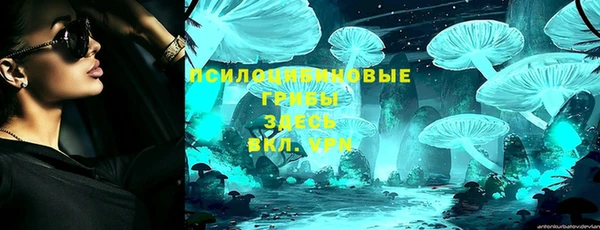 мяу мяу мука Переславль-Залесский