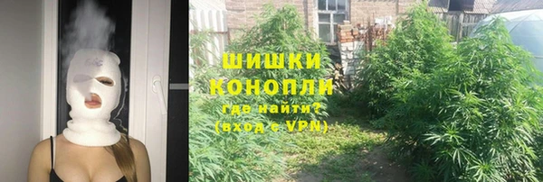 соль ск Пестово
