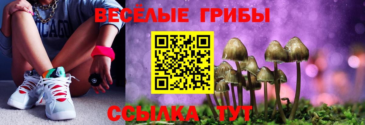 Галлюциногенные грибы прущие грибы  Галлюциногенные грибы мицелий  дарнет шоп  Старая Купавна 